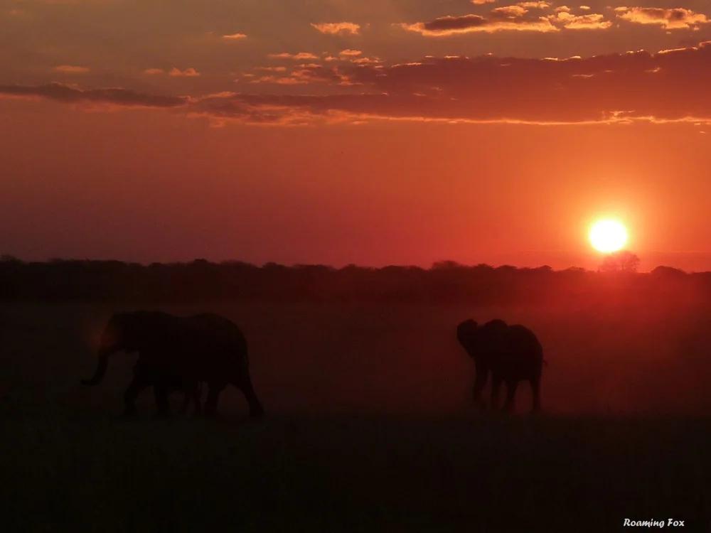 Sunset shots are awesome in Africa and the rest of the world
